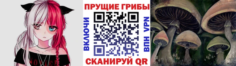 даркнет сайт  Кстово  Галлюциногенные грибы мухоморы 
