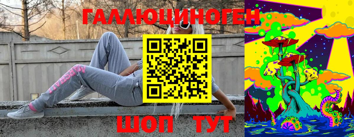 Галлюциногенные грибы Psilocybe Кстово