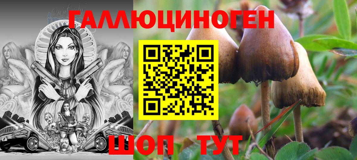 Галлюциногенные грибы Magic Shrooms  Кстово 